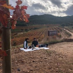 La Rioja protagonizará un capítulo dentro de la serie de vino 'The Wine Van' que estará presente en EEUU y Reino Unido