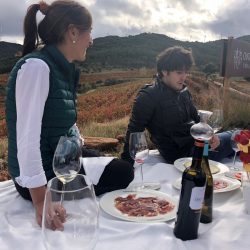 La Rioja protagonizará un capítulo dentro de la serie de vino 'The Wine Van' que estará presente en EEUU y Reino Unido
