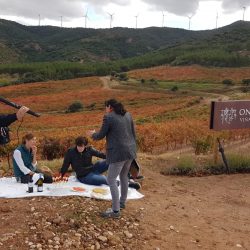 La Rioja protagonizará un capítulo dentro de la serie de vino 'The Wine Van' que estará presente en EEUU y Reino Unido