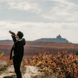 Finalistas del festival Notodofilmfest