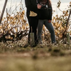 Finalistas del festival Notodofilmfest