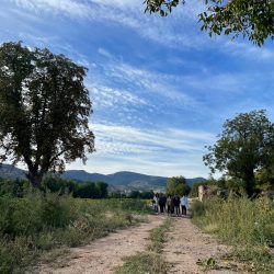 Visita para que doce profesionales del mundo de la publicidad conozcan las posibilidades cinematográficas de la región