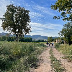 Visita para que doce profesionales del mundo de la publicidad conozcan las posibilidades cinematográficas de la región