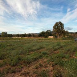 Visita para que doce profesionales del mundo de la publicidad conozcan las posibilidades cinematográficas de la región