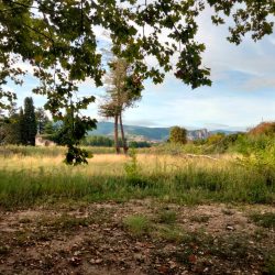 Visita para que doce profesionales del mundo de la publicidad conozcan las posibilidades cinematográficas de la región